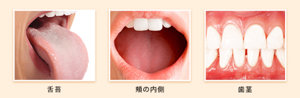4966680246762-4.jpg